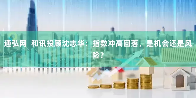 通弘网  和讯投顾沈志华：指数冲高回落，是机会还是风险？
