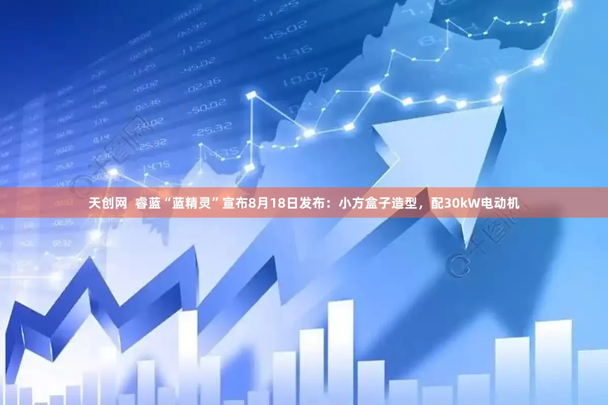 天创网  睿蓝“蓝精灵”宣布8月18日发布：小方盒子造型，配30kW电动机