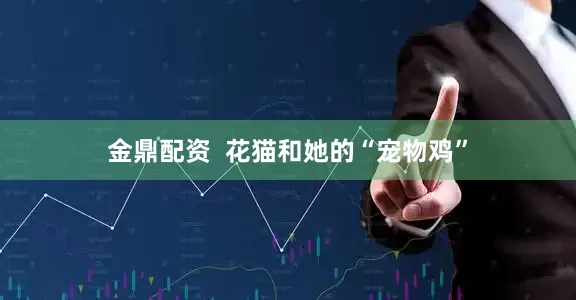 金鼎配资  花猫和她的“宠物鸡”