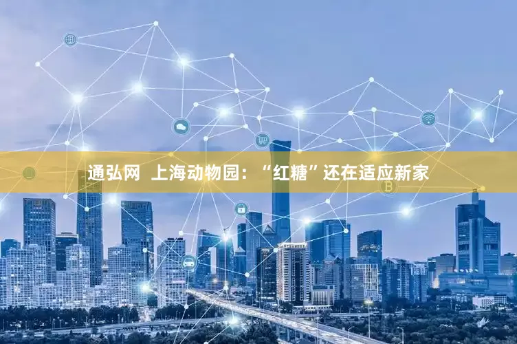 通弘网  上海动物园：“红糖”还在适应新家