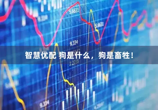 智慧优配 狗是什么，狗是畜牲！