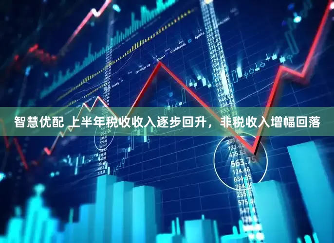 智慧优配 上半年税收收入逐步回升，非税收入增幅回落