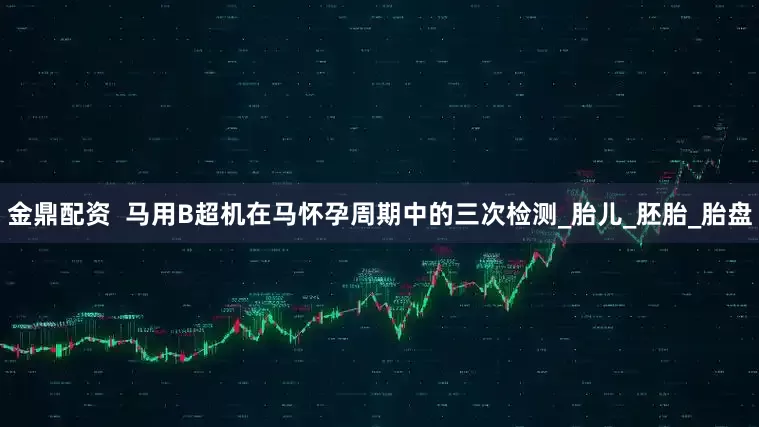 金鼎配资  马用B超机在马怀孕周期中的三次检测_胎儿_胚胎_胎盘